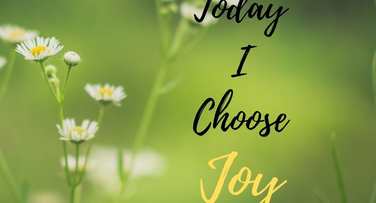 photo of flowers with superimposed text, Today A Choose Joy