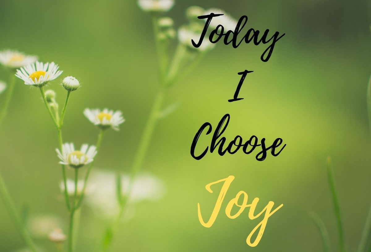 photo of flowers with superimposed text, Today A Choose Joy