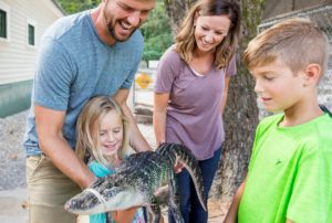 Photo of a family petting a baby alligator.